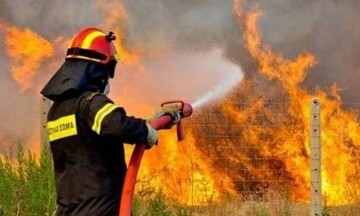 ΤΩΡΑ: Πυρκαγιά σε δασική έκταση στη Βοιωτία