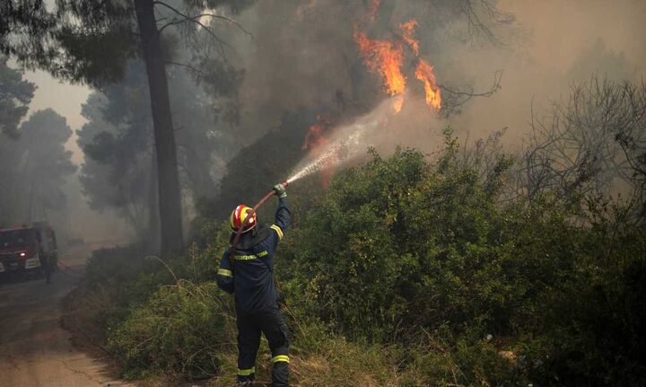 Πυρκαγιά στην Κορινθία: Μαίνεται η μάχη με τις φλόγες - Η φωτιά πλησιάζει το Αλεποχώρι