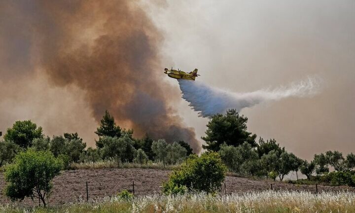 Σε ύφεση η φωτιά στα Παπαγιαννέικα - Αυτοψία Ν. Χαρδαλιά