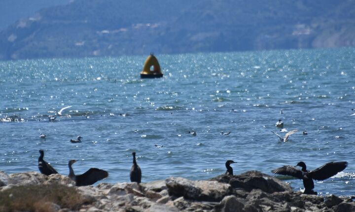 Ζέστη με 35άρια τη Δευτέρα - Ο καιρός σε όλη τη χώρα