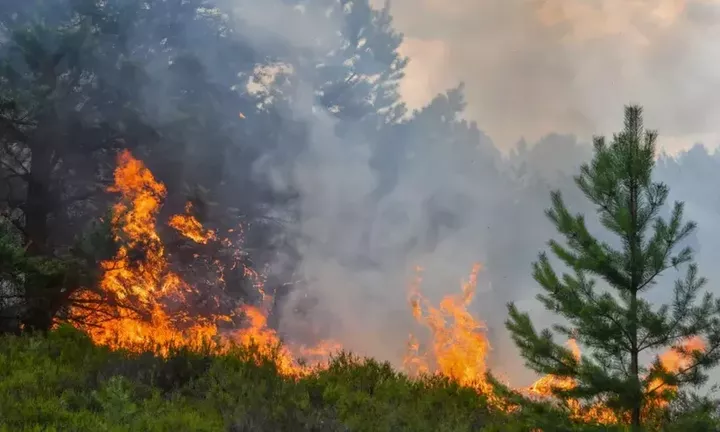 Μεγάλες πυρκαγιές σε Μακρακώμη και Ωραία Ελένη