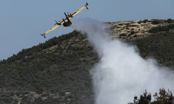 Υπό μερικό έλεγχο η πυρκαγιά στα Μέγαρα Αττικής