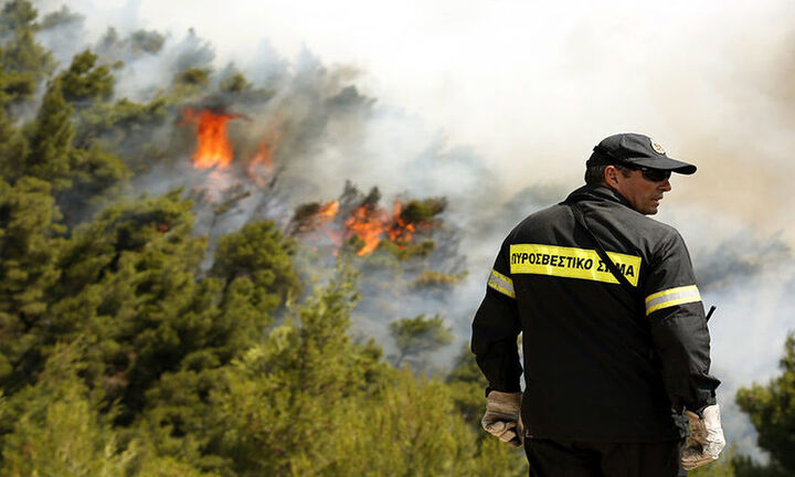 Πυρκαγιά σε δασική έκταση στη Λακκιά Θεσσαλονίκης