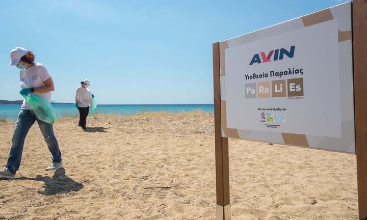 H AVIN υιοθετεί την παραλία του Σχινιά στο πλαίσιο του προγράμματος PARALIES
