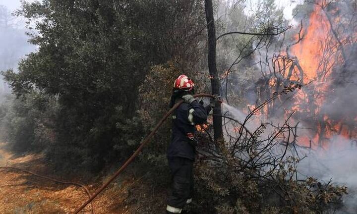 Υπό πλήρη έλεγχο η πυρκαγιά στον Νέο Βουτζά Μαραθώνα