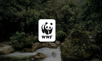  Κοινή πρόταση νόμου από WWF και 12 φορείς, για την κλιματική κρίση