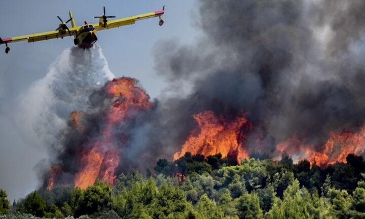 ΓΓΠΠ - Μεγάλη Προσοχή: Σε ποιες περιοχές της χώρας υπάρχει υψηλός κίνδυνος πυρκαγιάς την Παρασκευή