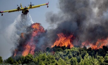 ΓΓΠΠ - Μεγάλη Προσοχή: Σε ποιες περιοχές της χώρας υπάρχει υψηλός κίνδυνος πυρκαγιάς την Παρασκευή