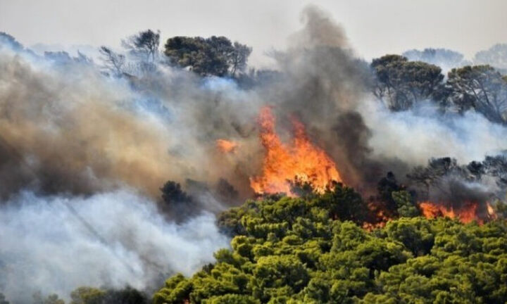 Φωτιά σε δασική έκταση στην περιοχή Άγιος Νικόλαος στην Μονεμβασιά