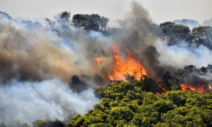 Μεγάλης έκτασης πυρκαγιά σε δασική έκταση στην Κυπαρισσία