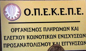 ΟΠΕΚΕΠΕ: Έως τις 30 Ιουλίου οι αιτήσεις για τις θέσεις προέδρου και αντιπροέδρου