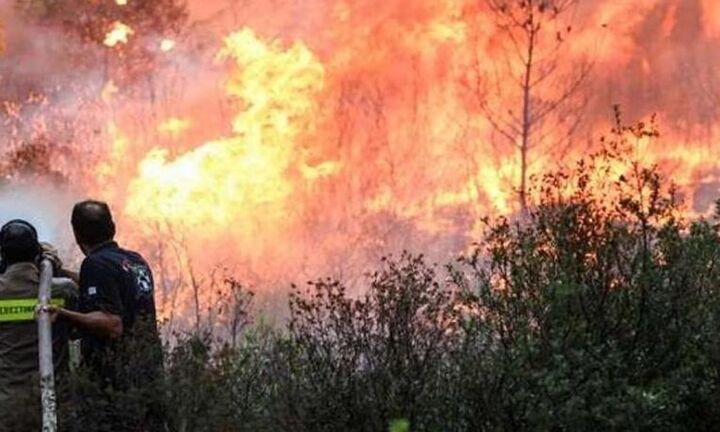  Υπό μερικό έλεγχο η πυρκαγιά στην Ύδρα - Βελτιώθηκε η κατάσταση στη Χίο