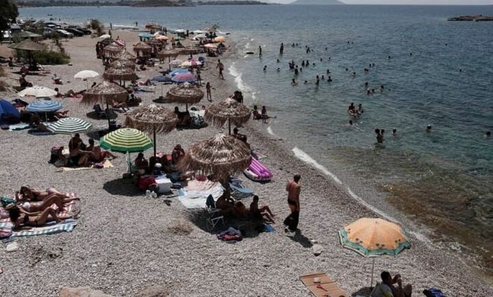Γεωργαντάς: Έως και τις 20 Ιουλίου ανοίγει η πλατφόρμα για την ψηφιακή κάρτα των 150 ευρώ