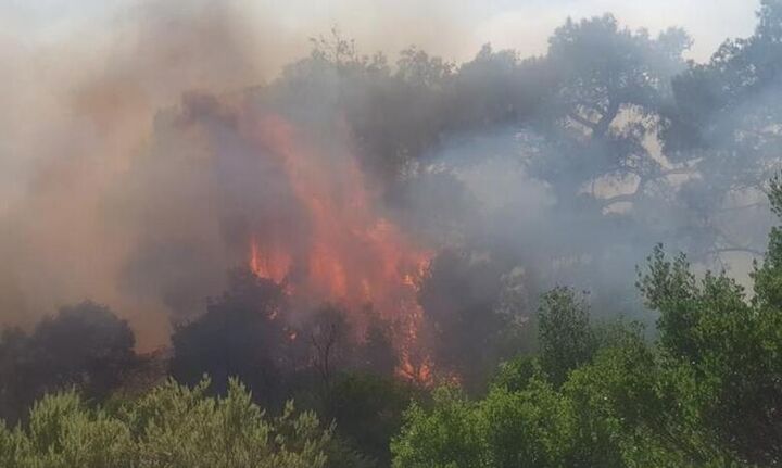 Εκκενώνεται ο οικισμός της Λευκίμης του Δήμου Σουφλίου