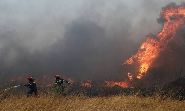 Σε εξέλιξη η πυρκαγιά στην Ανάβυσσο - Εκκενώνεται ο οικισμός Καταφύγι
