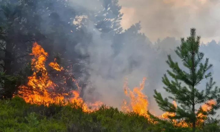 Σαράντα τρεις δασικές πυρκαγιές εκδηλώθηκαν το τελευταίο 24ωρο