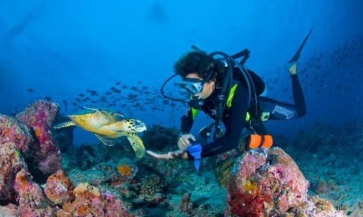 Συγκροτείται Συμβούλιο Καταδυτικού Τουρισμού - Ποια είναι τα μέλη