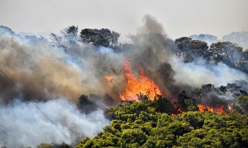 Πυρκαγιά σε δασική έκταση στους Βουρλιώτες Σάμου