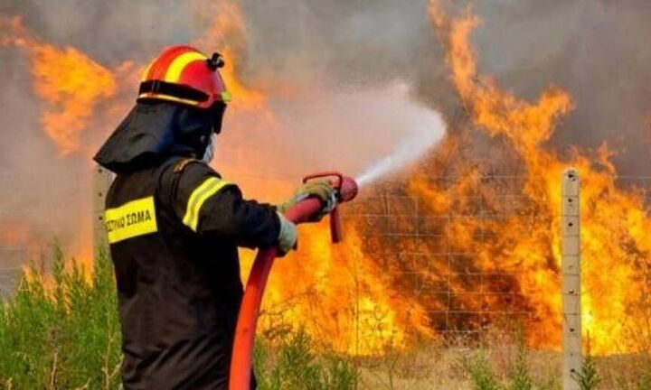  Ελλάδα: 42 δασικές πυρκαγιές το τελευταίο 24ωρο