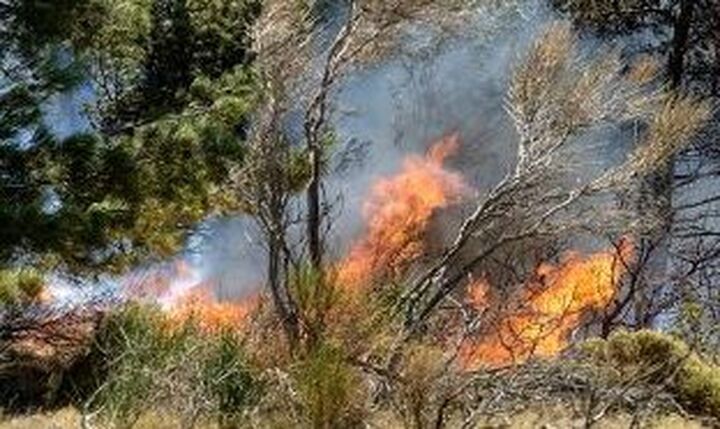 Πυρκαγιά στον Αυλώνα Αττικής - Δεν απειλεί κατοικημένη περιοχή