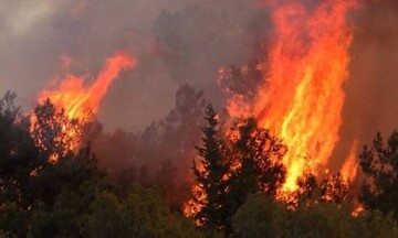 ΓΓΠΠ - Προσοχή: Σε ποιες περιοχές υπάρχει πολύ υψηλός κίνδυνος πυρκαγιάς την Τετάρτη