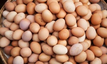 Ανακλήθηκαν από την αγορά 34,5 τόνοι βιολογικού κοτόπουλου και δεκάδες χιλιάδες αυγά