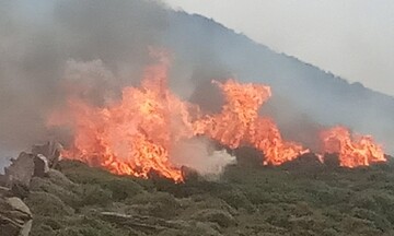 Υπό έλεγχο η πυρκαγιά στην Ρόδο - Σε εξέλιξη στην Ζήρεια Αχαΐας