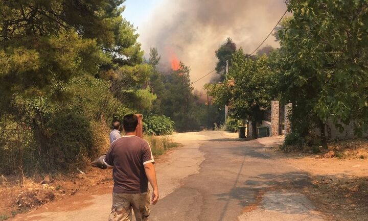 Έκτακτη ενημέρωση Χαρδαλιά: «Καθαρός εμπρησμός» η φωτιά στη Σταμάτα - Τέσσερις προσαγωγές (vid)