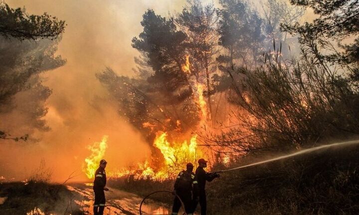 Πυρκαγιά στην Αχαΐα: Μεταφέρθηκαν με ασφάλεια οι κάτοικοι της Δροσιάς