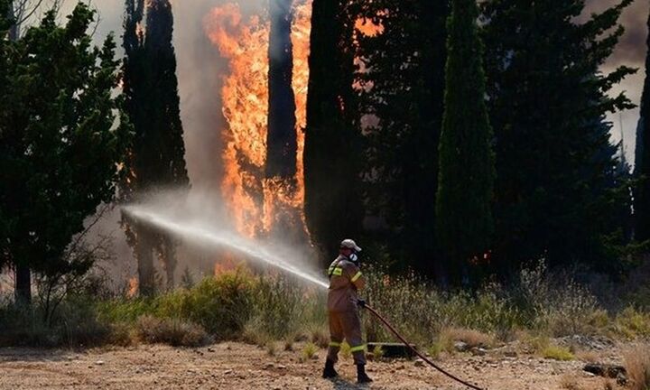 Νέα πυρκαγιά στην Αχαΐα  - Εκκενώνονται επιχειρήσεις και κατοικίες λόγω πυρκαγιάς στον Προφήτη Ηλία