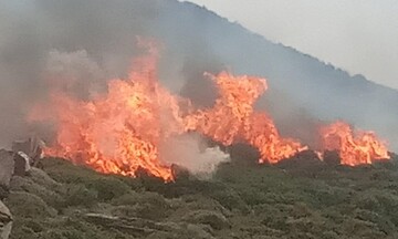 Αιτωλοακαρνανία: Πυρκαγιά σε δασική έκταση στην περιοχή Θυρίου