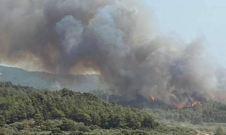  Σε κατάσταση έκτακτης ανάγκης οι δημοτικές ενότητες Πεταλούδων και Καλλιθέας Ρόδου