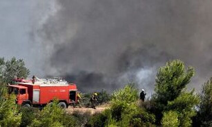 Πυρκαγιά: Μήνυμα του 112 για εκκένωση των οικισμών Βασιλίτσι, Λειβαδάκια, Άγιος Γεώργιος Μεσσηνίας