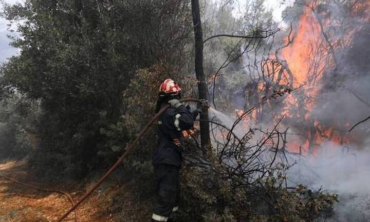 ΓΓΠΠ: Πολύ υψηλός κίνδυνος πυρκαγιάς σήμερα Πέμπτη για πολλές περιοχές της χώρας