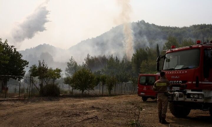 Αρχαία Ολυμπία: Μάχη με μέτωπο στην περιοχή Χελιδόνι - Εντολή για προληπτική εκκένωση