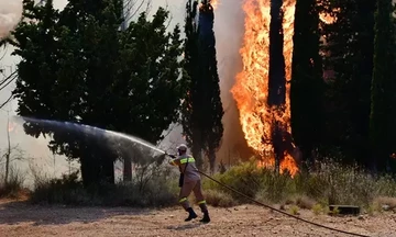 Πάτρα:Σε κατάσταση έκτακτης ανάγκης οι πυρόπληκτες περιοχές της Αχαΐας