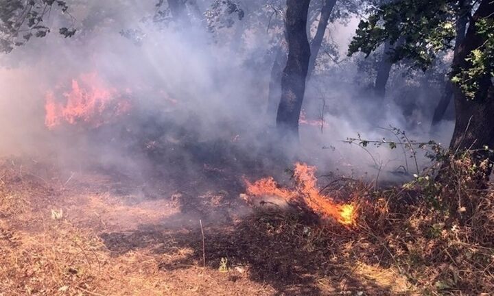 Από χωριό σε χωριό δίνεται η μάχη με τις φλόγες στην Εύβοια