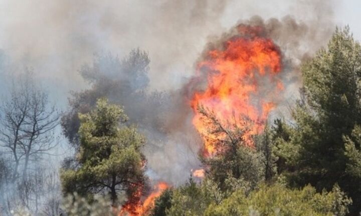 Σε εξέλιξη η φωτιά στην Ανατολική Μάνη της Λακωνίας
