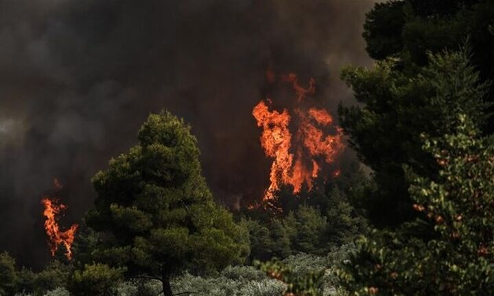 Φωτιά στην Εύβοια: «Η Εύβοια κάηκε επίτηδες» – Τι καταγγέλλει ο Πρόεδρος  Κοινότητας Ροβιών