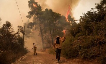 Εύβοια: Πλησιάζει την Ιστιαία η φωτιά  - Απειλούνται   Γαλατσώνα, Αβγαριά, Ασμίνι