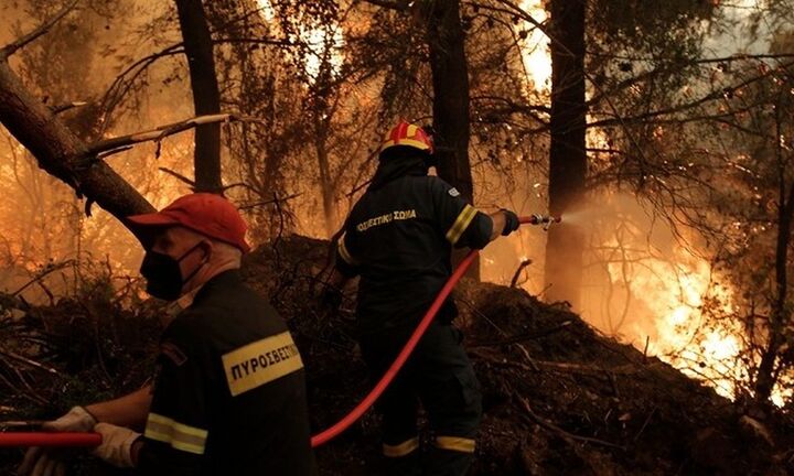 Χωρίς τέλος ο εφιάλτης στη Β. Εύβοια - Φλέγεται για 8η μέρα
