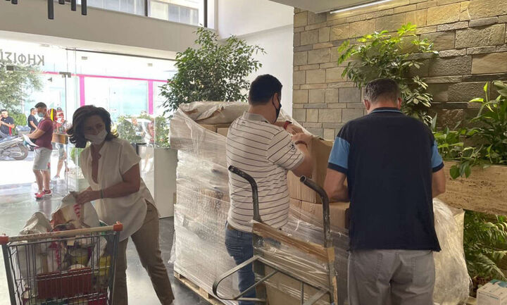 Δράσεις στήριξης για τις ανάγκες των πυρόπληκτων ζώων από την Περιφέρεια Αττικής