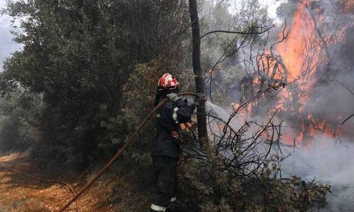 Αναζωπυρώσεις και ενεργές εστίες φωτιάς σε Γορτυνία και περιοχές του δήμου Αρχαίας Ολυμπίας