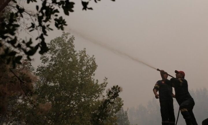 Βόρεια Εύβοια: Σε ύφεση τα μέτωπα της πυρκαγιάς