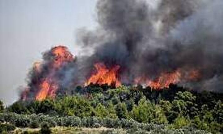 Φωτιά στην Ανατολική Μάνη: Σε Δεσφίνα, Σκαμνάκι και Μονή Τσίγκου τα μέτωπα