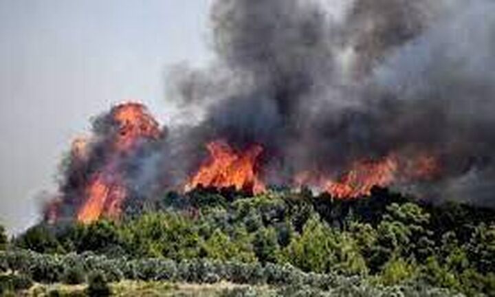 Σοκαριστικά στοιχεία από τον ΟΗΕ: Η άνοδος της θερμοκρασίας στον πλανήτη επιταχύνεται
