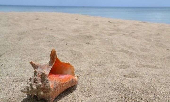 Υποχώρηση της θερμοκρασίας το Σάββατο και άνεμοι έως 6 μποφόρ στο Αιγαίο