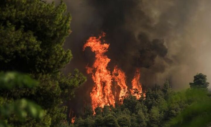 Νέες πυρκαγιές σε Χαλκιδική και Μάνδρα