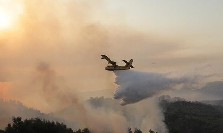 Πυρκαγιά στην Κερατέα: Μεγάλη φωτιά σε εξέλιξη - Μήνυμα εκκένωσης από το 112 για τέσσερις οικισμούς 