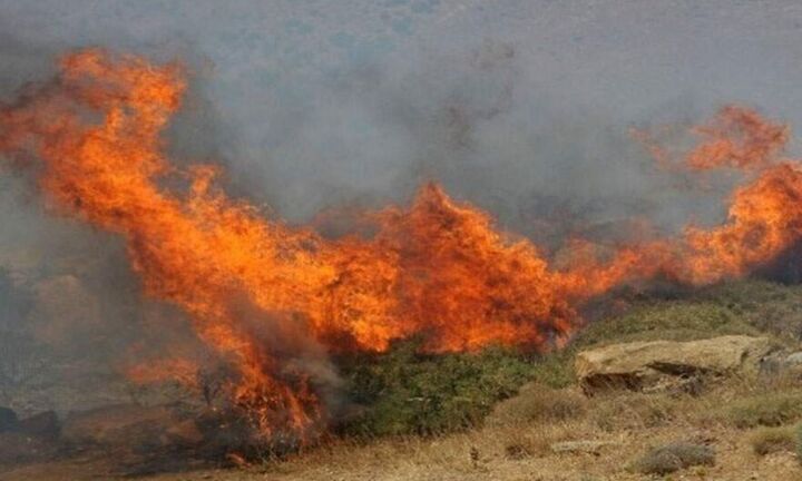 Πυρκαγιά σε χαμηλή βλάστηση στην Αίγινα